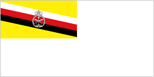 Image of Naval Ensign