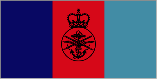 Image of Joint Services Flag